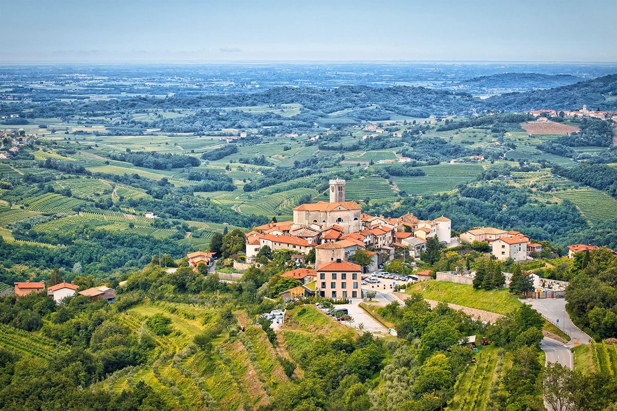 Plastic surgery | Plastic surgery Nova Gorica