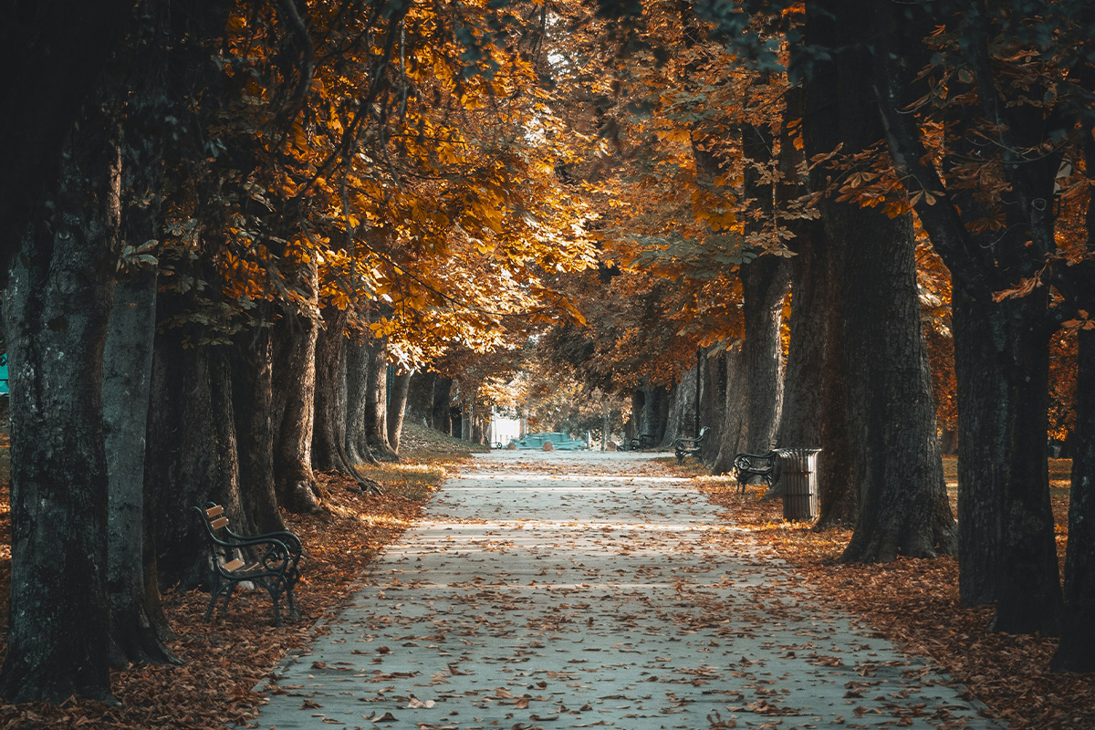 Plastic surgery | Plastic surgery Osijek